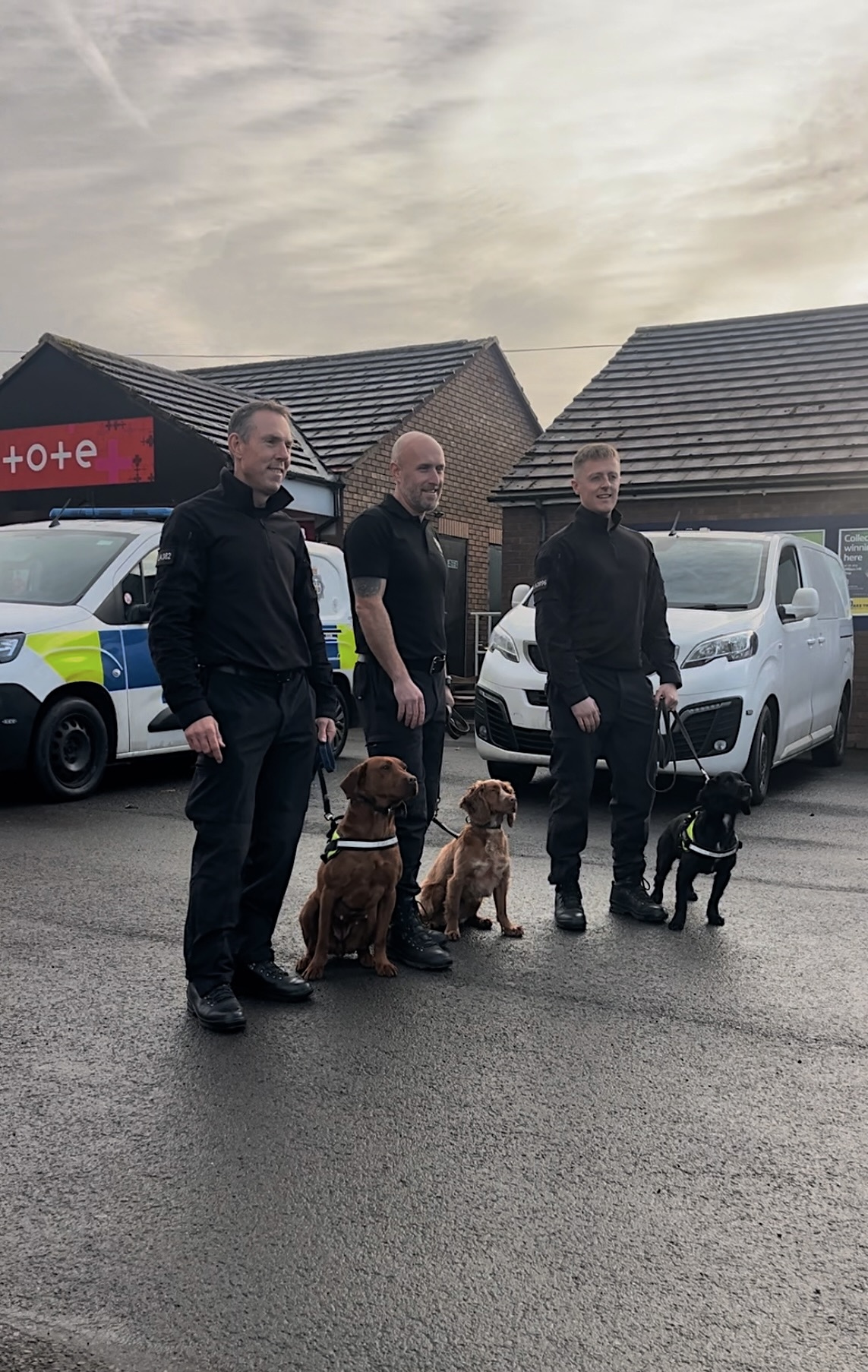 Digital dogs and handlers