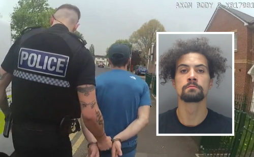 Metin arrest.png