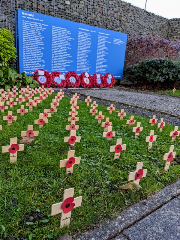 Poppies