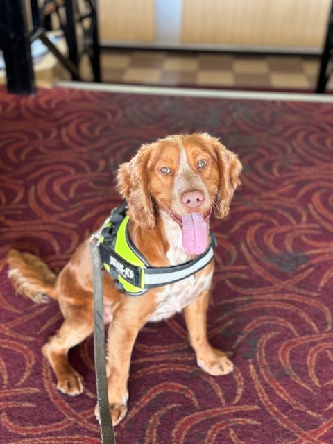 PD Baxter