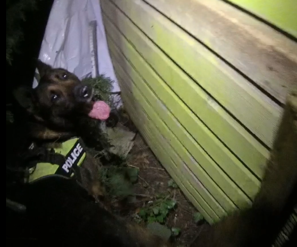 PD Rex at the scene