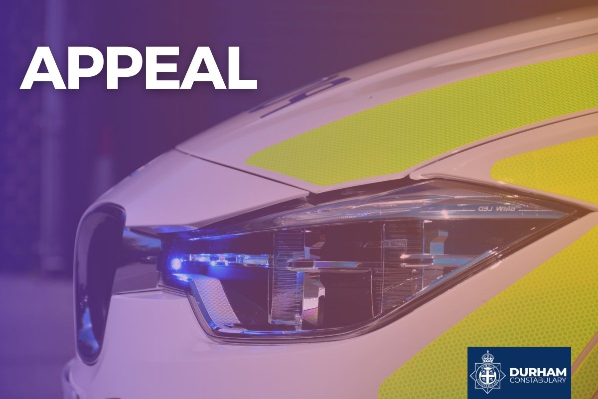 Appeal graphic showing police car