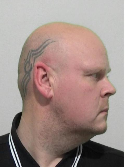 Stephen SCOLLARD.jpg