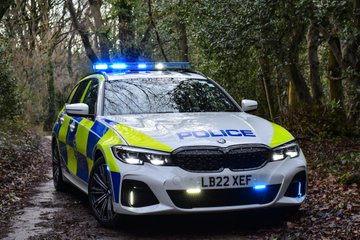 Car in forest