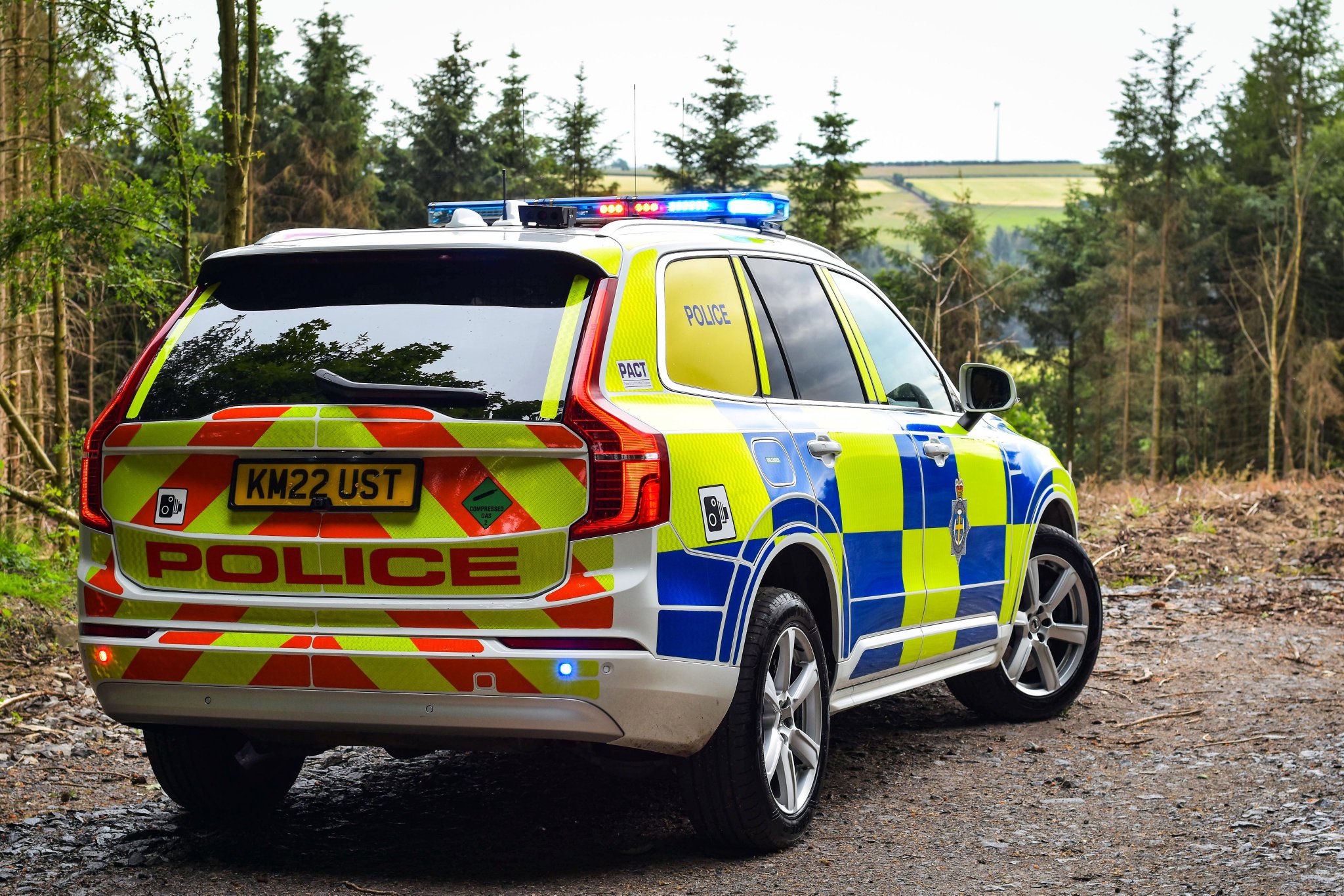 Police car in wood